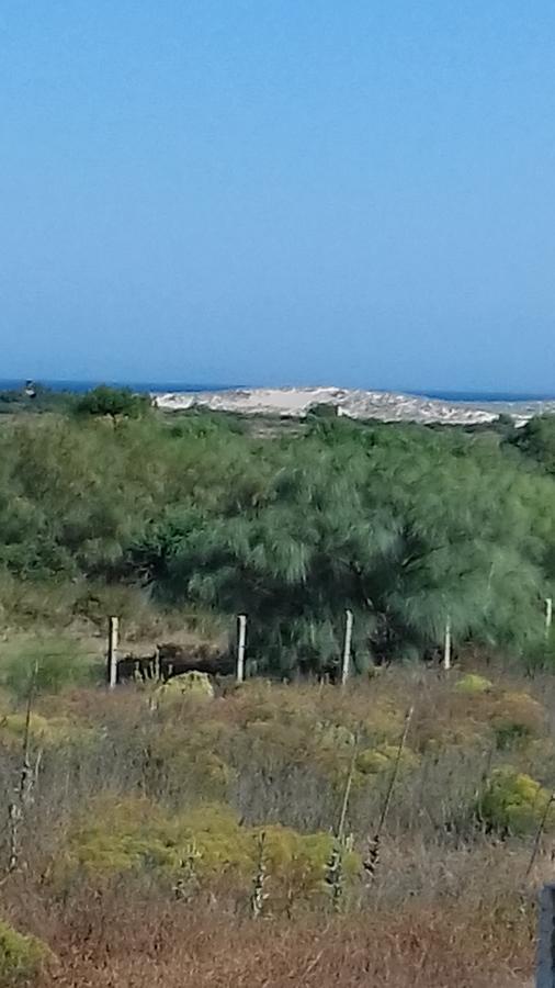 ברבטה La Aceitera De Trafalgar מראה חיצוני תמונה